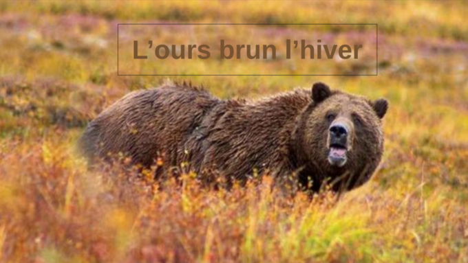 ours.png