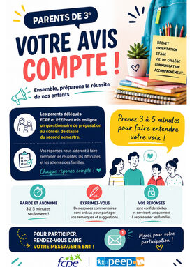 affiche conseil de classe des 3ème questionnaire.jpg